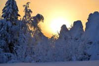 Работа 2201057