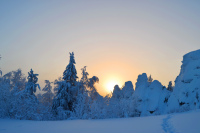 Работа 2201056