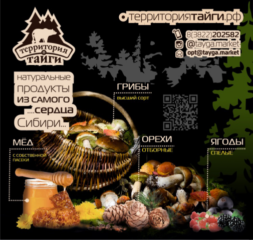 Территория Тайги Баннер Томск 2020