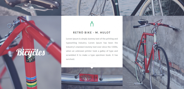 Vintage Bike
