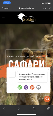Сафари