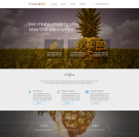 Лендинг для веб-студии / сайта-портфолио Pineapple Web