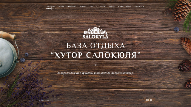 Сайт базы отдыха Салокюля