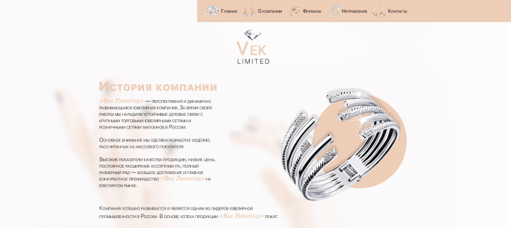 Дизайн внутренней страницы для компании VekLimited