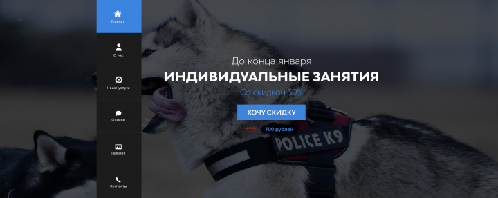 Дизайн лендинга для занятий с собаками