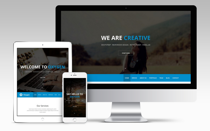 Oxygen на CMS Wordpress