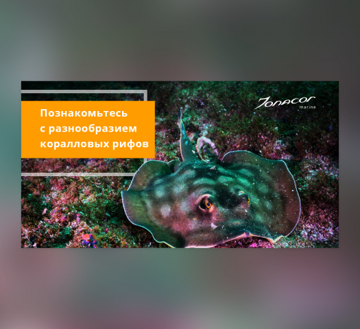 Дизайн баннера для рекламы в Facebook