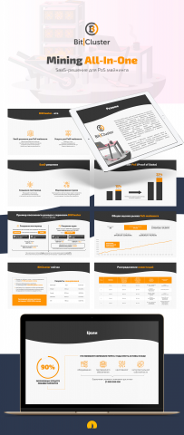 Презентация BitCluster