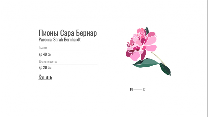 Hero block для сайта салона цветов