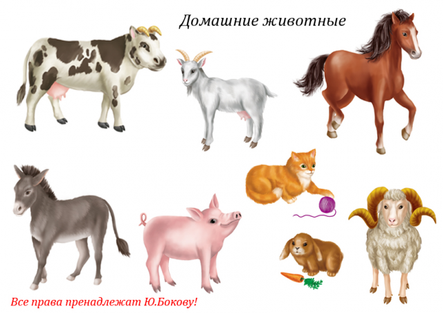 Персонажи