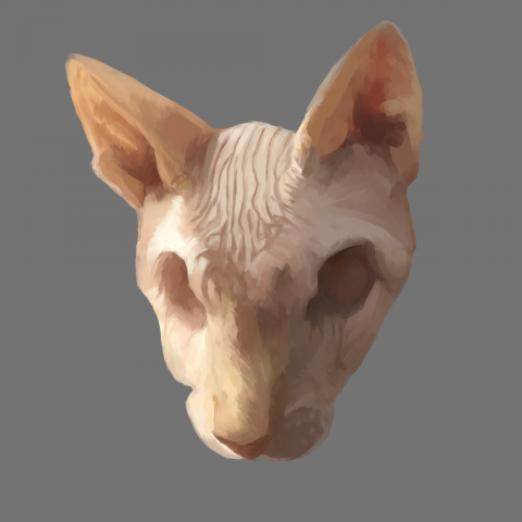 иллюстрация кота