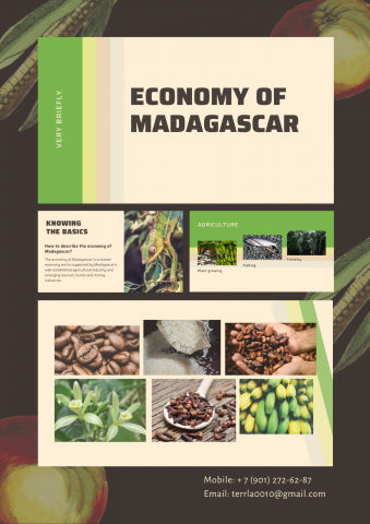 Экономика Мадагаскара