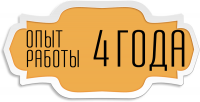 Опыт работы в сфере более 4 лет