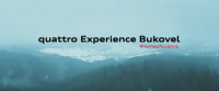 Audi quattro Experience Bukovel 2016