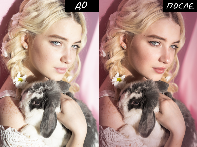 Работа 3906844