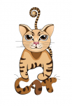 Кот