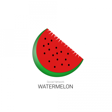 Логотип WATERMEKON APP