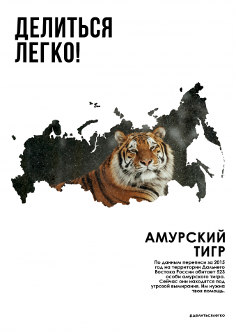 Социальный плакат: Амурский тигр
