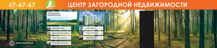 Банер загородная недвижимость