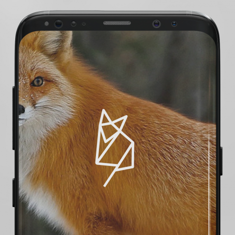 Логотип ProroKk