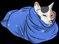Кот
