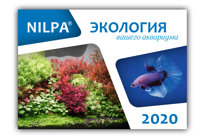 Квартальный календарь 2020