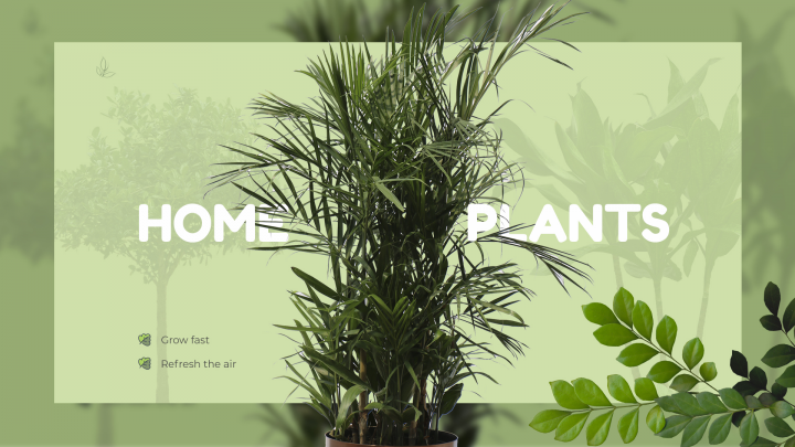 Web design for an online store of home plants