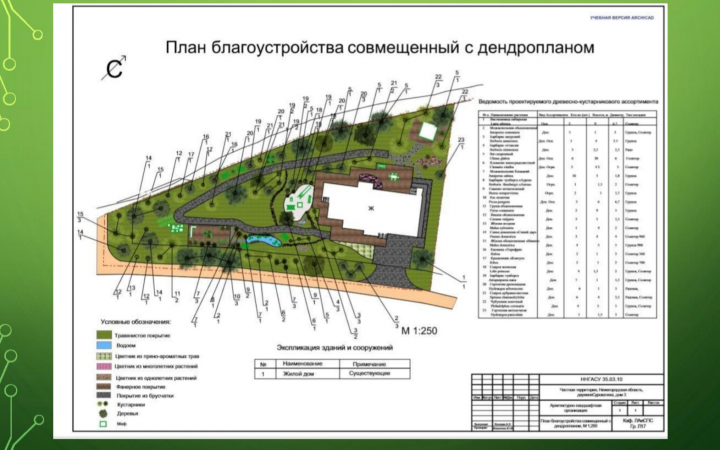 Генеральный план благоустройства частного участка