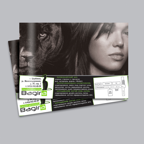 «Bagira», флаер