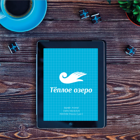 Лого и фирменный стиль для ТМ "Тёплое море"