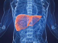 Болит печень после алкоголя. Что делать?