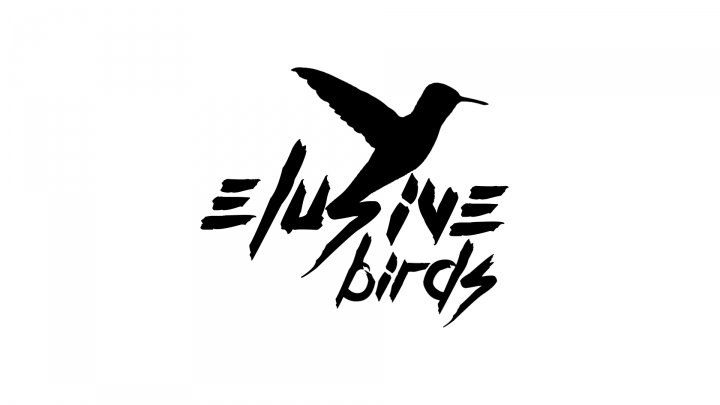 ELUSIVE BIRDS