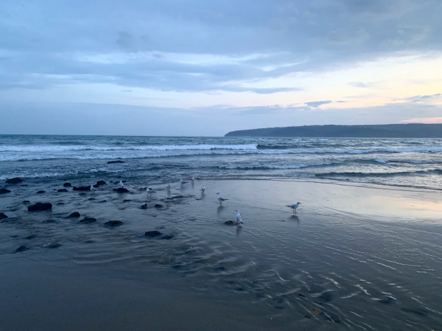 Sea