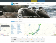 Разработка сайта (дизайн, верстка, интеграция, функционал)