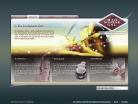 сайт компании BioSculpture