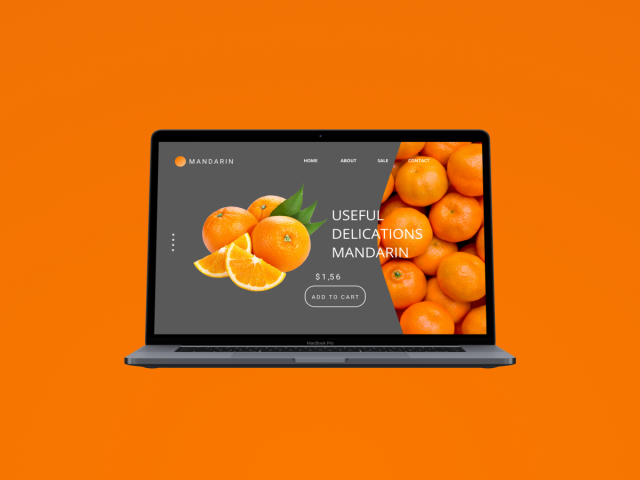 Тренировочный макет "MANDARIN"