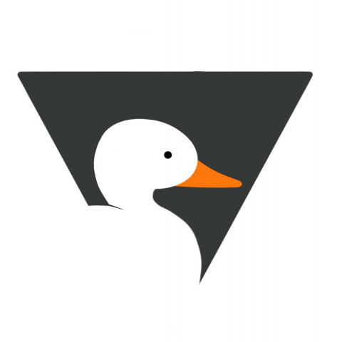 Логотип для киберспортивной команды (1)