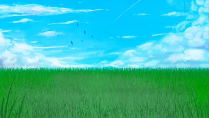 sky and grass
