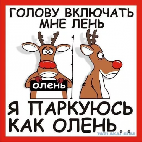 Деньги, вкатанные в грязь: я паркуюсь как...