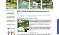 Работа 2954928
