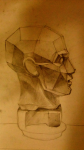 Head