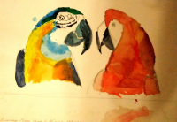 Parrots