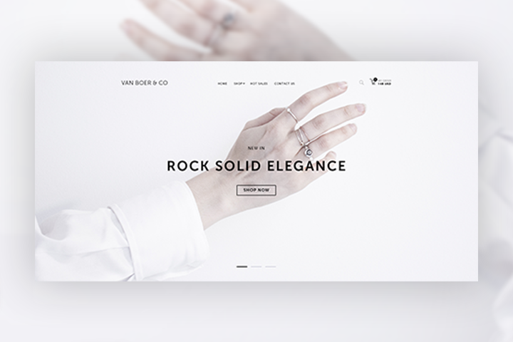 Ювелирный дом Van Boer & Co