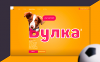 Поиск четвероногова друга