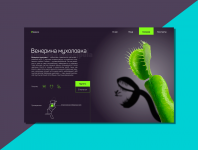 Покупка хищных растений