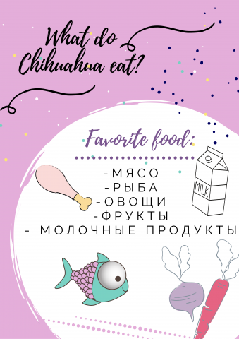 Сторис в Инстаграм