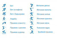 Sport