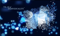 The Art of Individuality