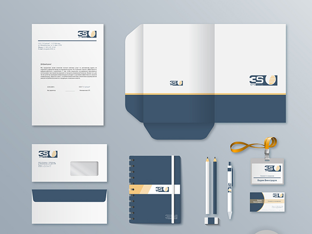 3S system