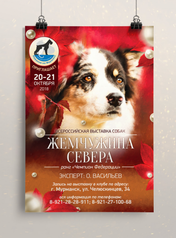 Афиша для выставки собак
